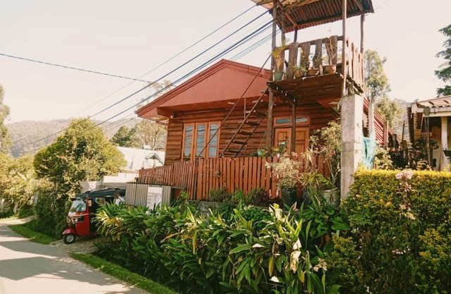20/20 wood cabana