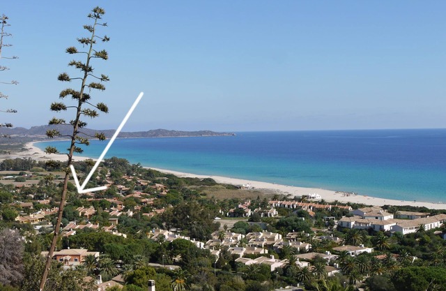 A 200 metros del mar, 6 camas. Barbacoa, ducha exterior. Precios de envío con descuento
