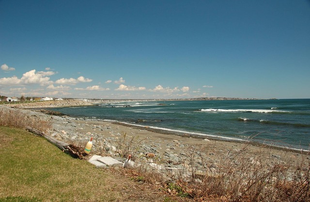 2019 es COMPLETO / Se admiten perros, frente al mar, vista Nubble