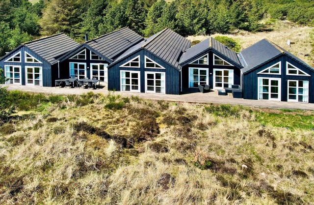5 esrellas case en Blåvand