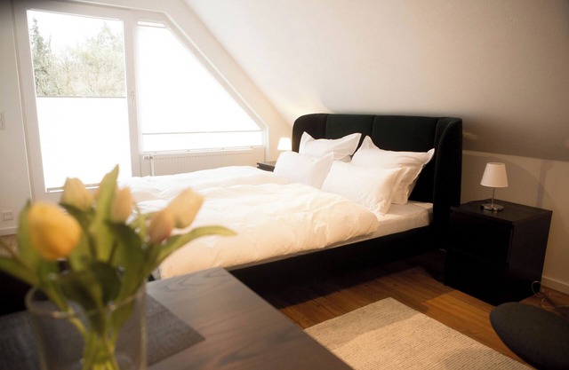 224 House Salinen Studio
