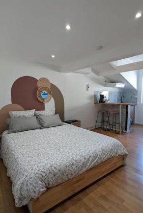 2e Grand Studio Agen Hyper Centre - Clim - Jacobins