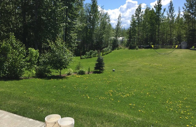 3 Bd-Beautiful Log Home w Garage & Yard in Central Wasilla
