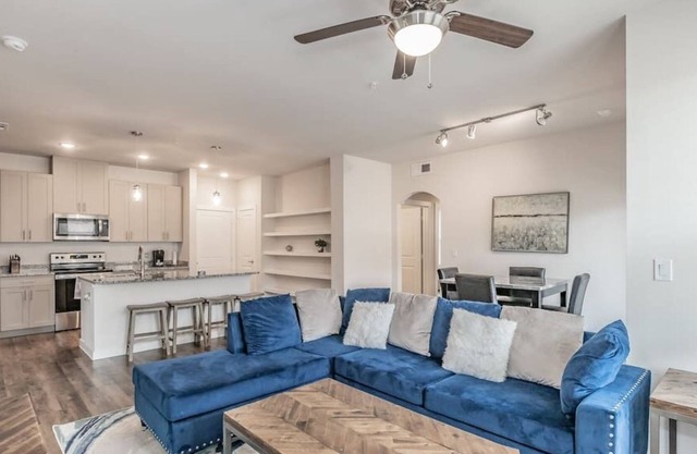 3 BDR Texas Corporate Housing Professional Apt