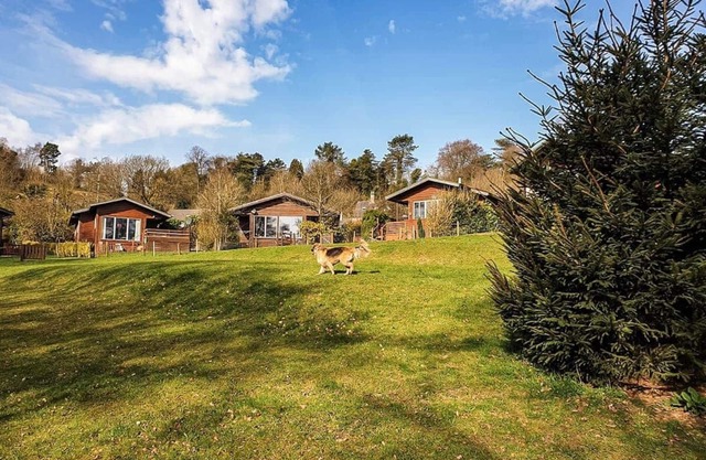 Alojamiento de 3 habitaciones en Nr Leek