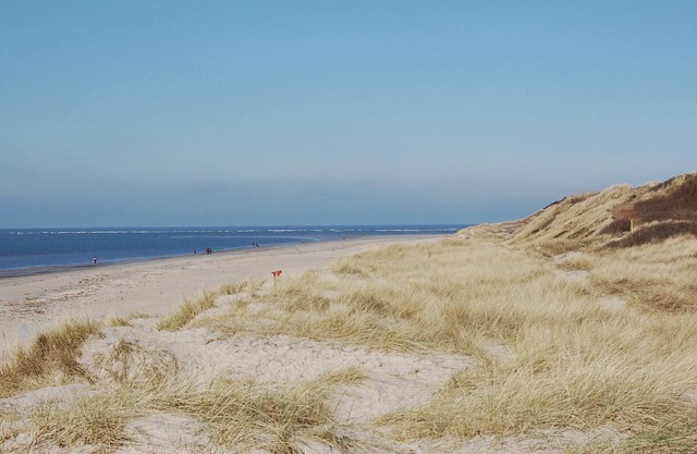 Alojamiento de 3 habitaciones en Blåvand