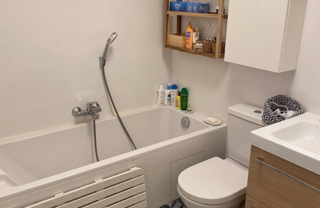 3 Bedroom Apartment in Paris