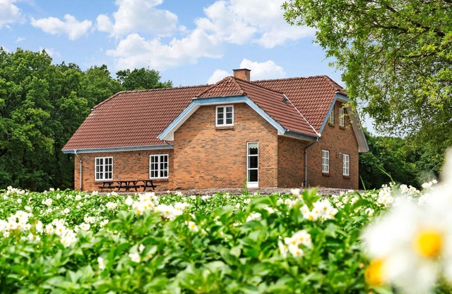 Hermosa casa de 3 dormitorios en Videbæk
