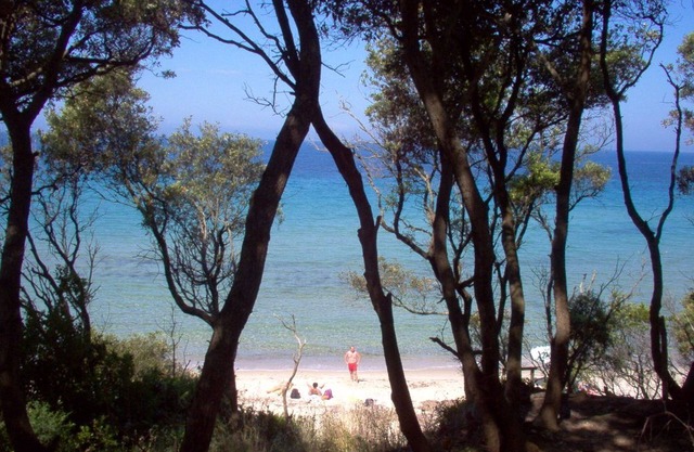 Casa de 3 dormitorios para 6 personas, piscina privada, cerca de las playas de Follonica Toscana