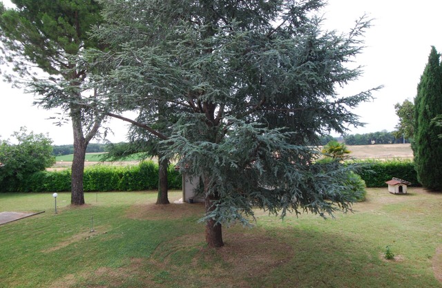 3 Bedroom Private vacation home in Botontano