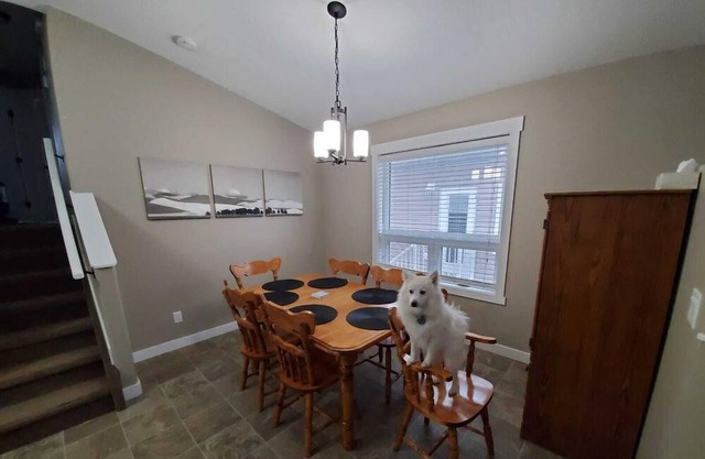 3 Bedroom Suite - Fully Stocked, Clean and Pet Friendly!