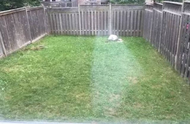 3 Bedrooms & 3.5 bathrooms Townhouse of Waterloo Clair hills