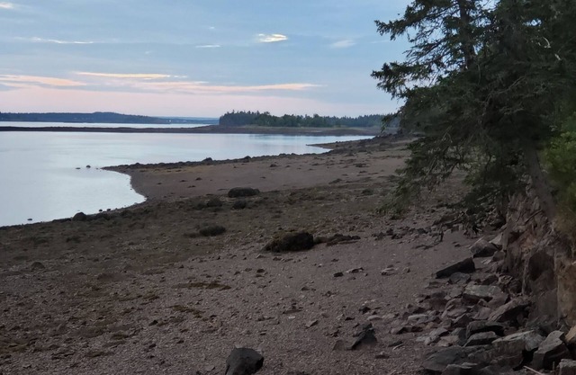 3 cabin family package, 4 kayaks,3 fire pits, full kitchens, no pet fee
