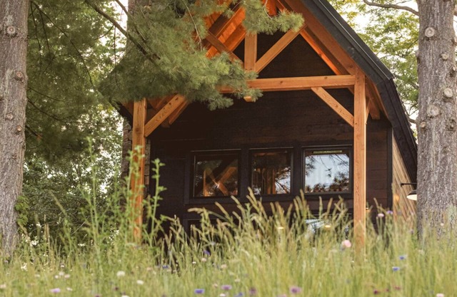#3 Pinecone Haven