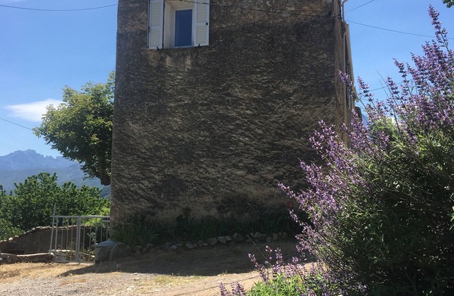 Cottage 3 estrellas Turismo en Haute Balagne