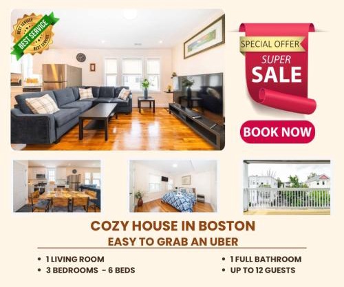 30-3 - 3BR Boston - Cozy Apt near Franklin Park Zoo