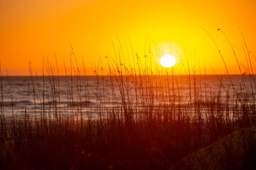 32 Turtle Lane at The Sea Pines Resort