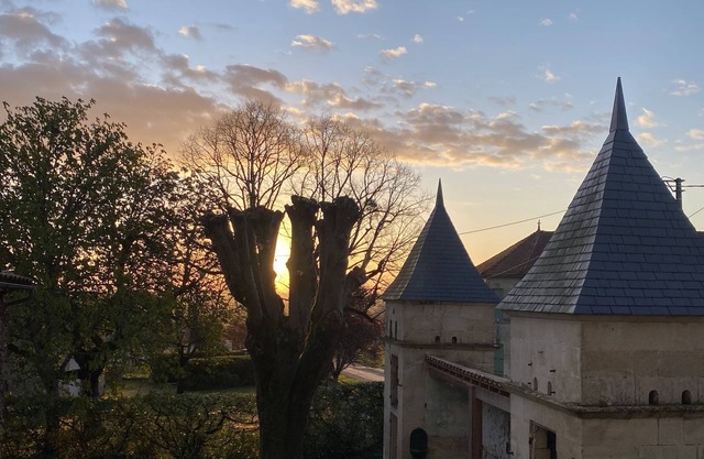 Large mansion of 380 m2 near Saint-Emilion