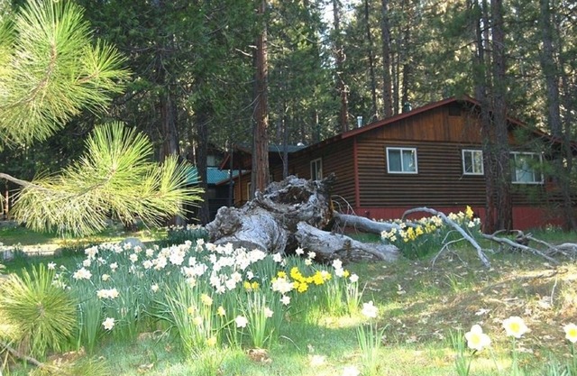 River Song - Aire acondicionado central!