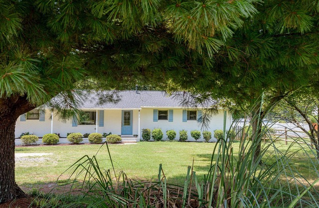 3Bed/2Bath home with new interior design, & backyard Oasis. Minutes to the lake!