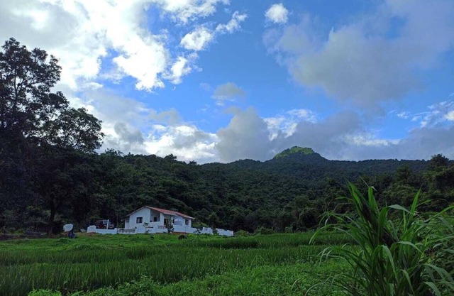 3bhk Farm home stay surrounded by pristine nature in The majestic Western Ghats