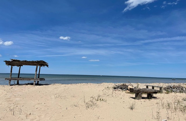4+ acres with 100 feet of sugar sand beach on Lake Huron