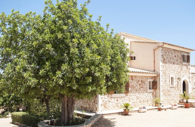 4 bedroom accommodation in Porto Pet