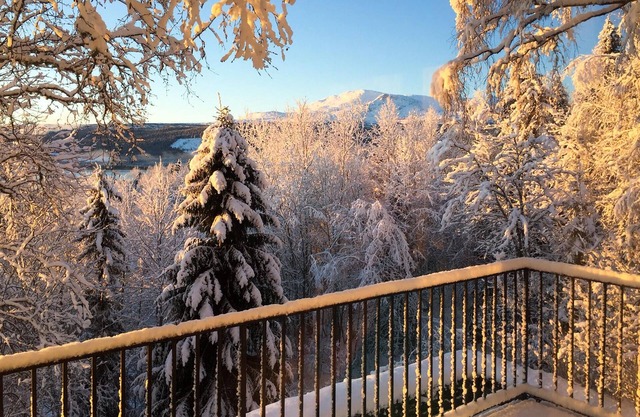 4 bedroom accommodation in Järpen