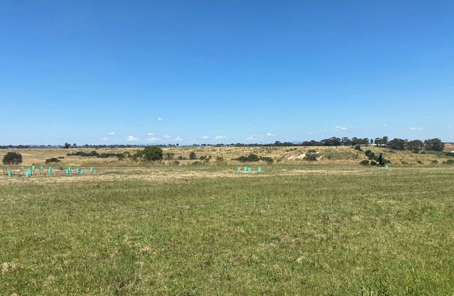 4 bedroom Guest home shared accommodation