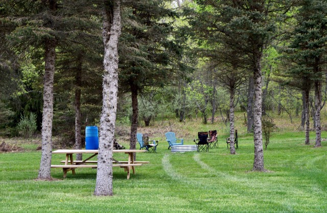 4 Private RV Campsites surrounded by "Knotty Pines", Minutes from ORV Trails.