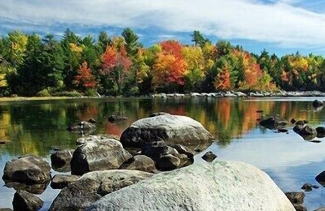 4 Seasons Getaway in Downeast ME 30 mi to Acadia Nat'l Park