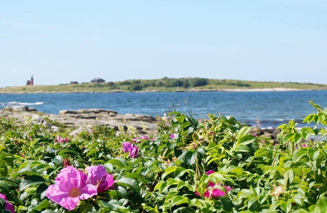 4 star holiday home in Halmstad