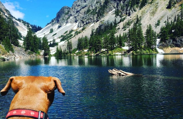 4BR Mountain Getaway: Ideal for Skiing, Hiking, & Relaxing