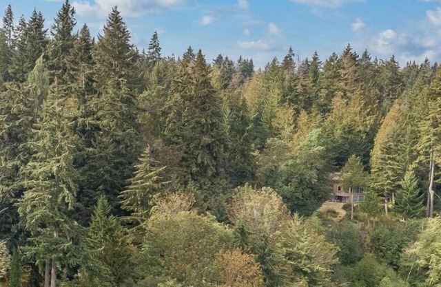 5 Acre Waterfront Compound - 5 Homes, sleeping 32!