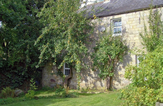 Alojamiento de 5 habitaciones en Byrness Village, near Otterburn