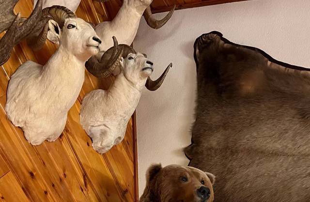 5 BR Alaska Trophy Lodge
