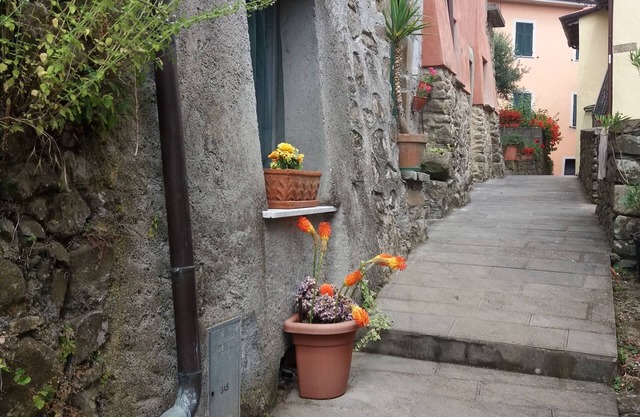 5 Cinque Terre en el campo (código CITRA 011006-LT-0002)