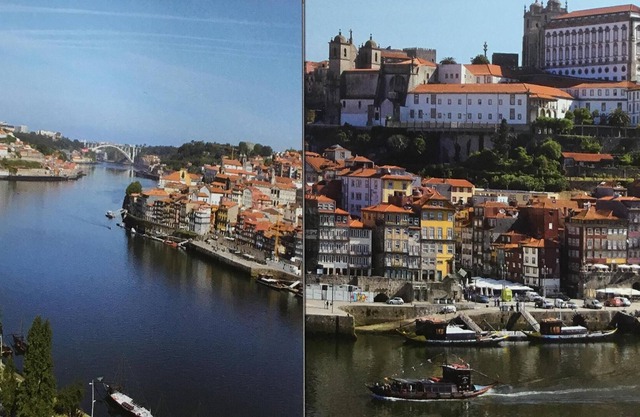 NATURALEZA A 5 MINUTOS DEL CORAZÓN DE OPORTO.