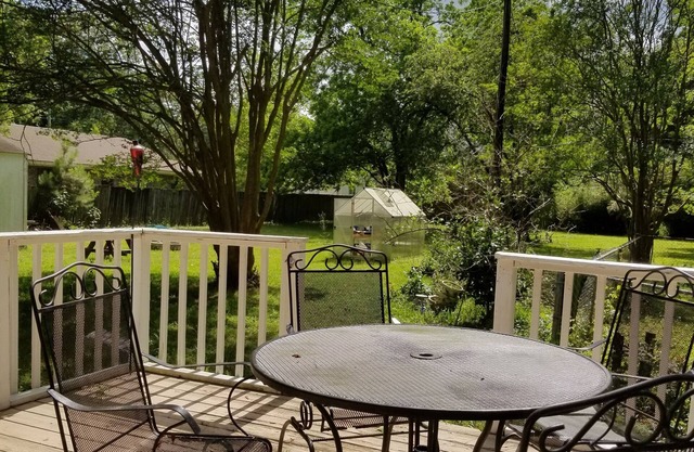 5 minutes to downtown, short drive to beach