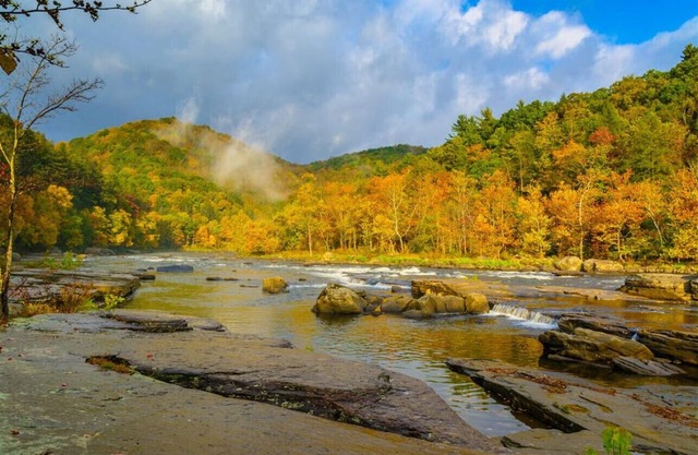 ☀️🏊‍♂️ Splash, Explore & Play – Your Family’s Laurel Highlands Basecamp 🏞️🌸🌿
