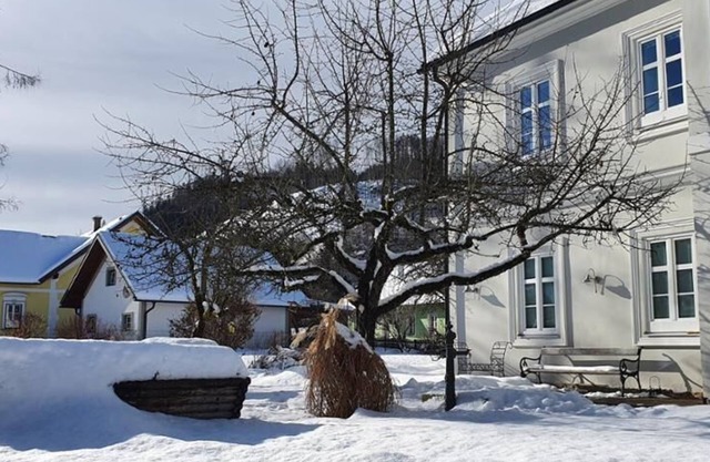 Vrbo Property