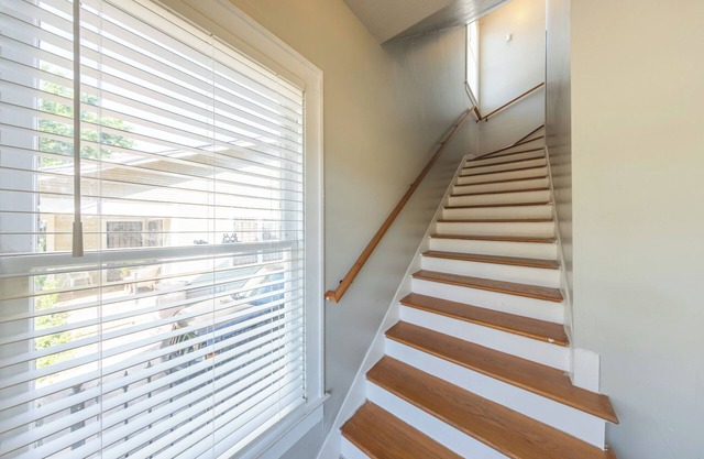 6 bedroom spacious living near downtown