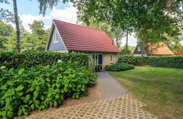 6-Person Comfort Villa