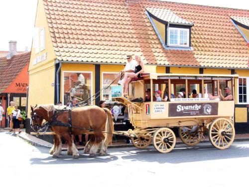 6 person holiday home in Svaneke