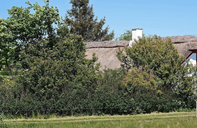 Acogedora casa de campo en Vesløs con terraza