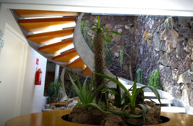 Casa O - Puebla