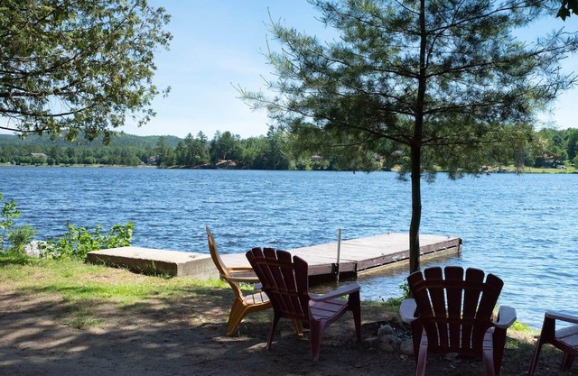 [# 6 The Lynx] Chalet overlooking the river.