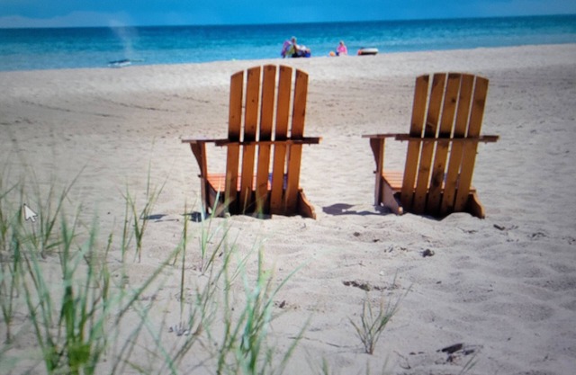 #6 Thomas' Parkside Cottages, 2 BR Beach Cottage on Lake Huron, Downtown local