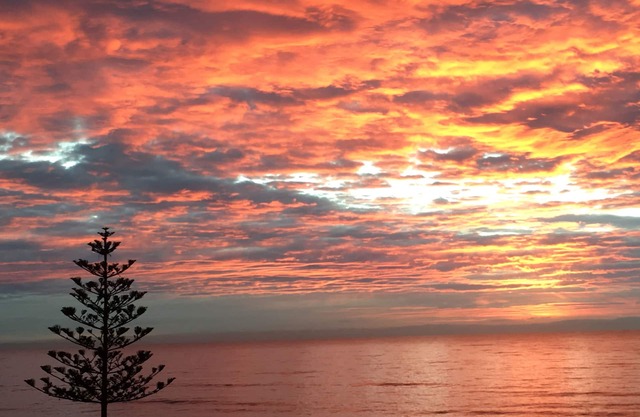 ' 79' MIN STAY 1 MONTH Napier Westshore BEACHFRONT APARTMENT.