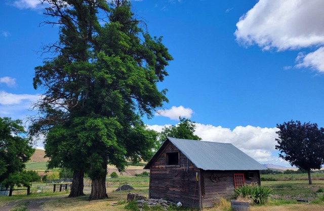 8 Mile Farm B&B